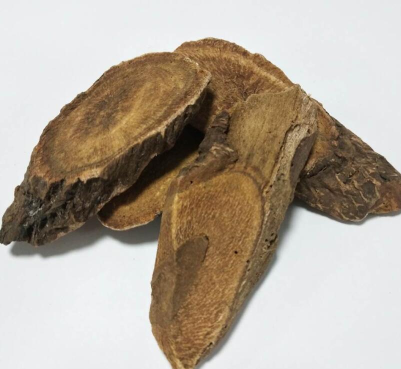 大黃(藥用大黃) RHEI RADIX ET RHIZOMA