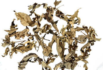 普菲德專題產品推薦-艾葉系列