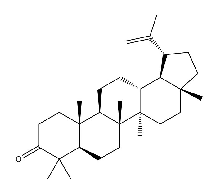 羽扇豆烯酮|1617-70-5