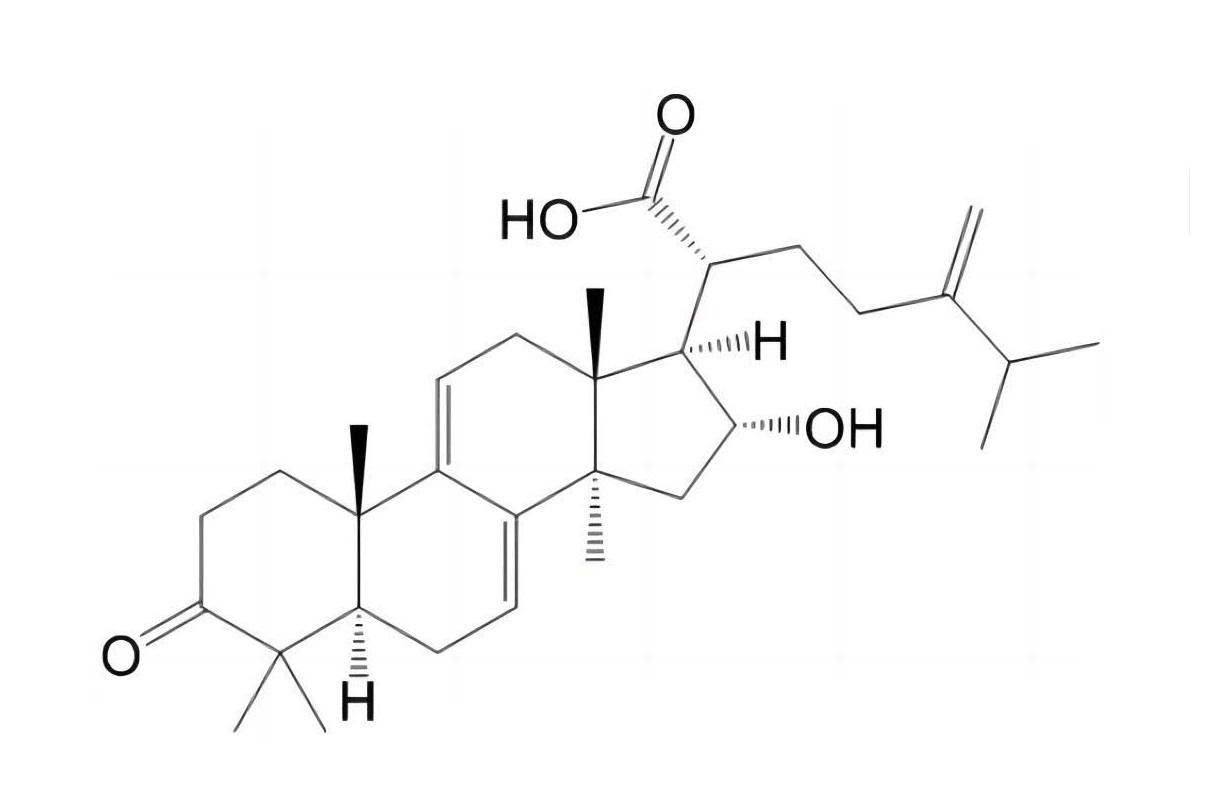 豬苓酸C|465-18-9