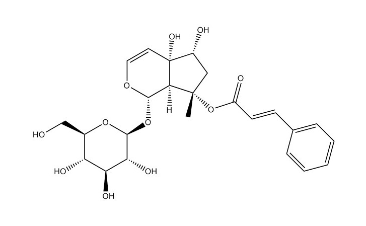 哈巴俄苷|19210-12-9