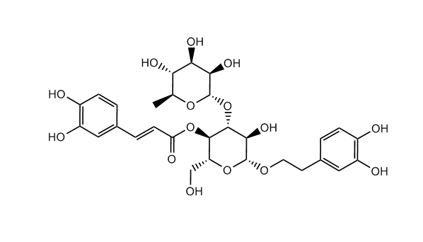 毛蕊花糖苷|61276-17-3