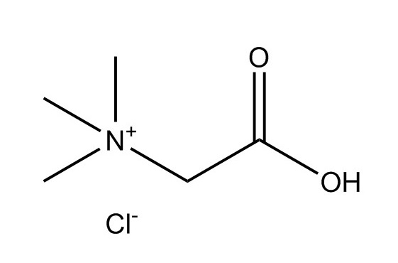 鹽酸甜菜堿|590-46-5