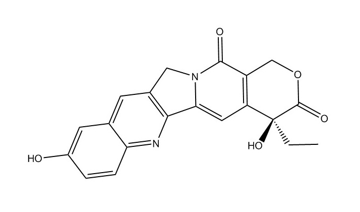 10-羥基喜樹堿|19685-09-7