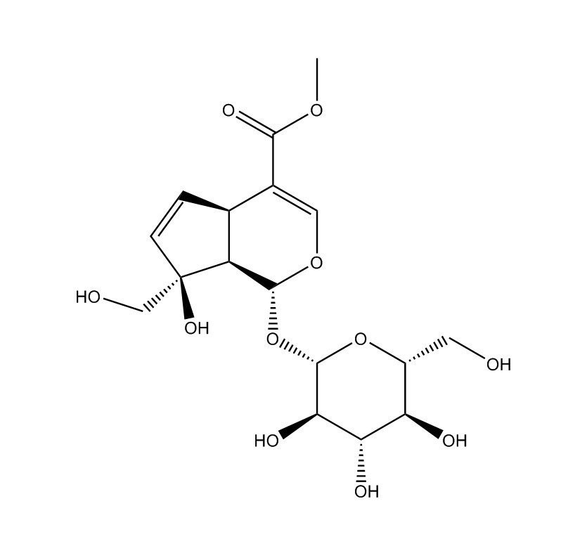 羥基梔子苷|24512-62-7