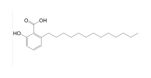 白果新酸|20261-38-5