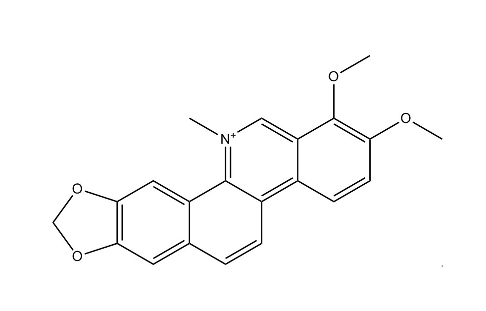 白屈菜紅堿|34316-15-9