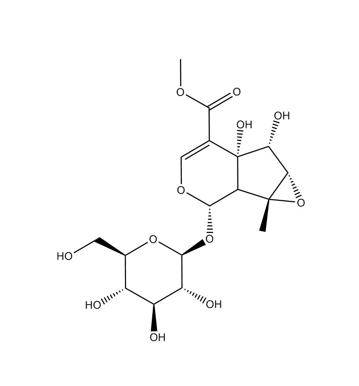 胡麻屬苷|117479-87-5