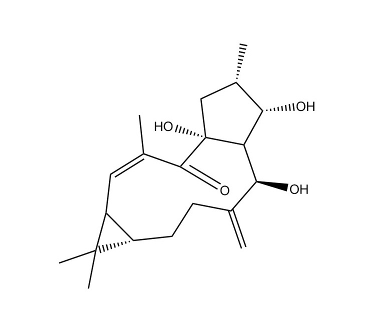 千金子二萜醇|34420-19-4