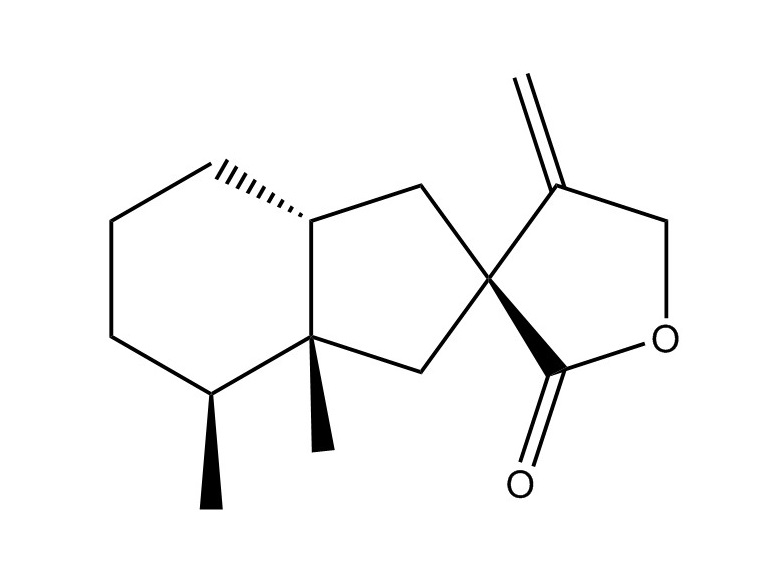 蜂斗菜內酯|19906-72-0