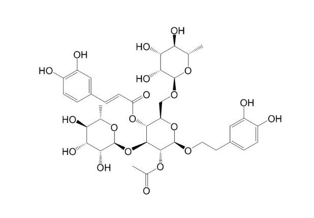2-乙酰基金石蠶苷|133393-81-4