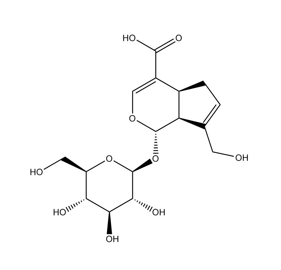 京尼平苷酸|27741-01-1