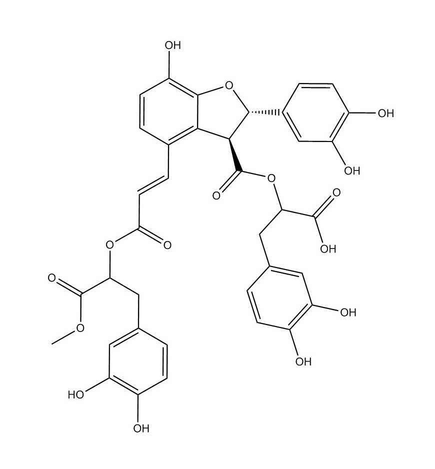 9'''-丹酚酸B單甲酯|1167424-32-9