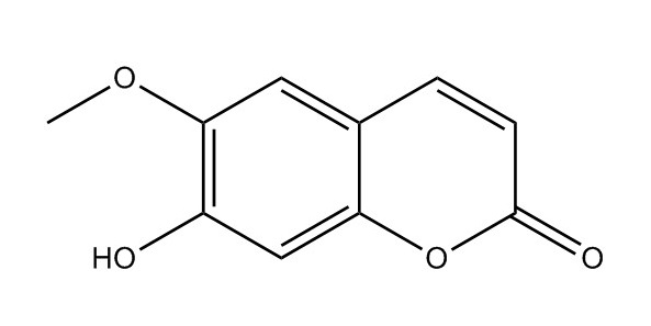 東莨菪亭|92-61-5