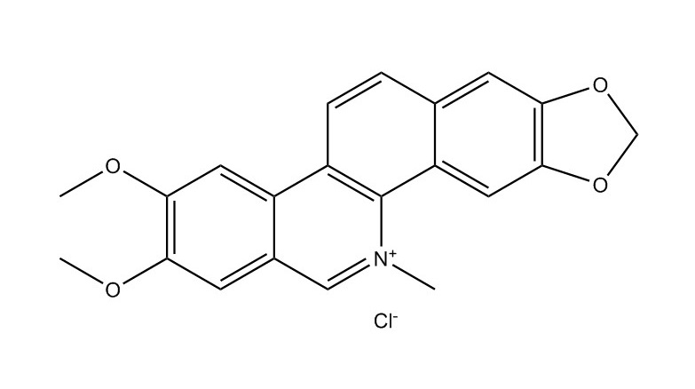 氯化兩面針堿|13063-04-2