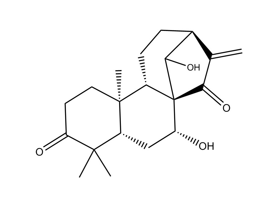 藍萼甲素|79498-31-0