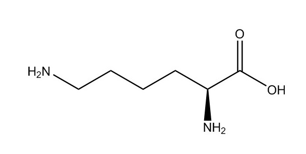 賴氨酸|56-87-1