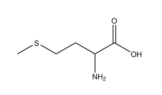 蛋氨酸|59-51-8