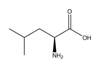 亮氨酸|61-90-5