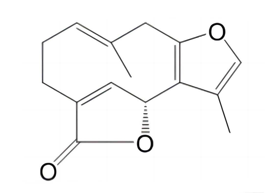 釣樟內酯|728-61-0