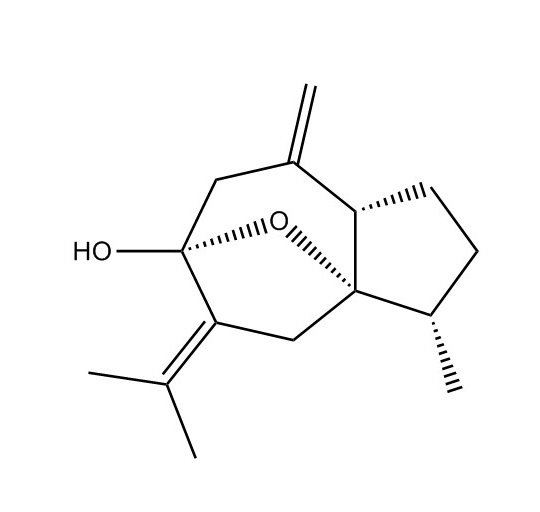 異莪術烯醇|24063-71-6
