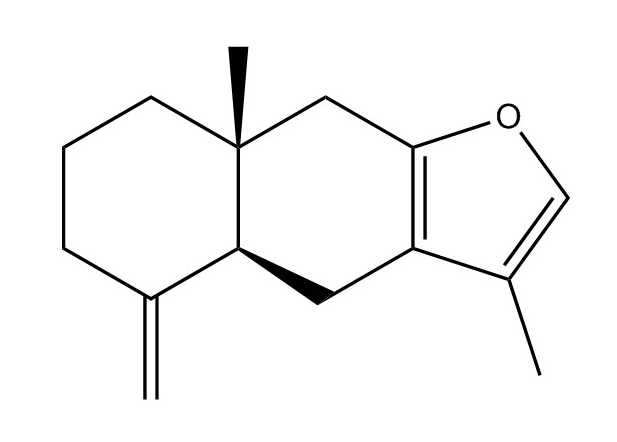 蒼術(shù)酮|6989-21-5