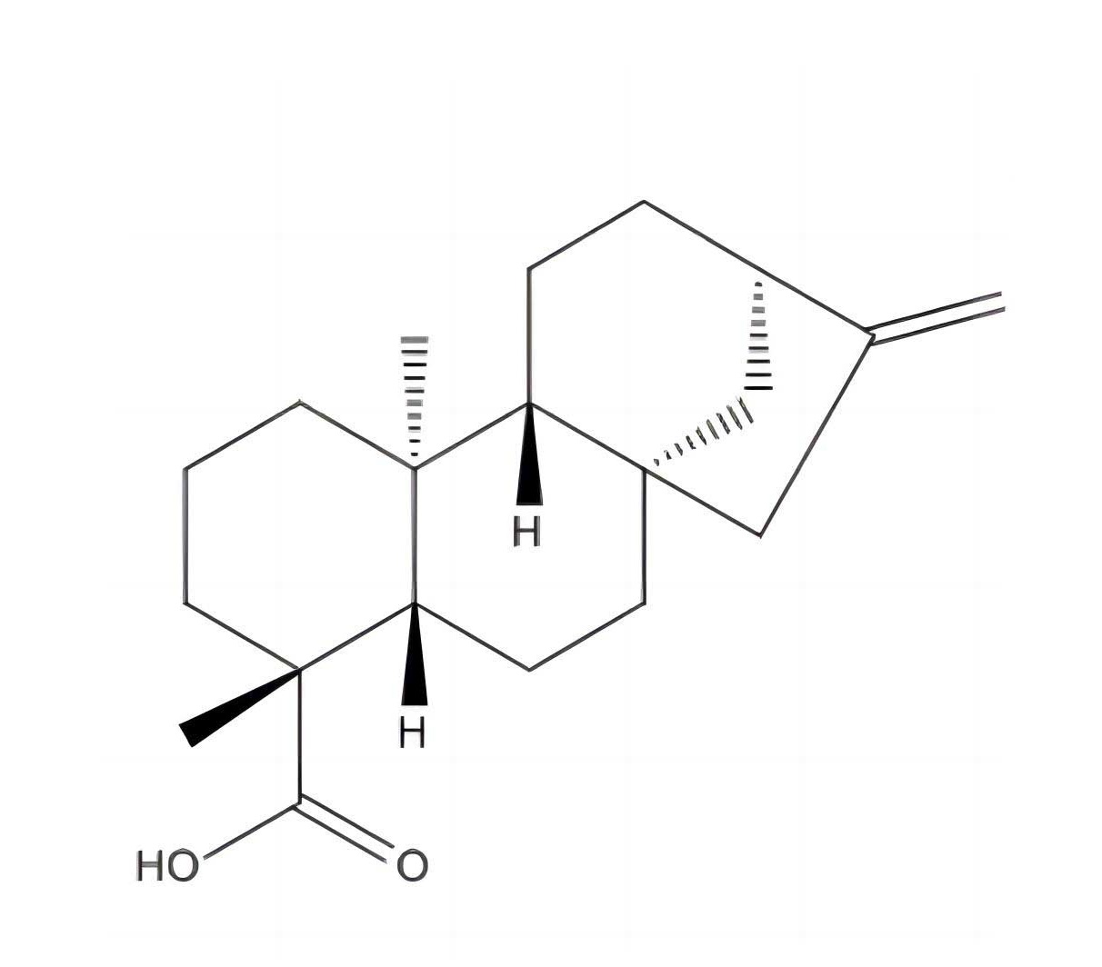 異貝殼杉烯酸|6730-83-2