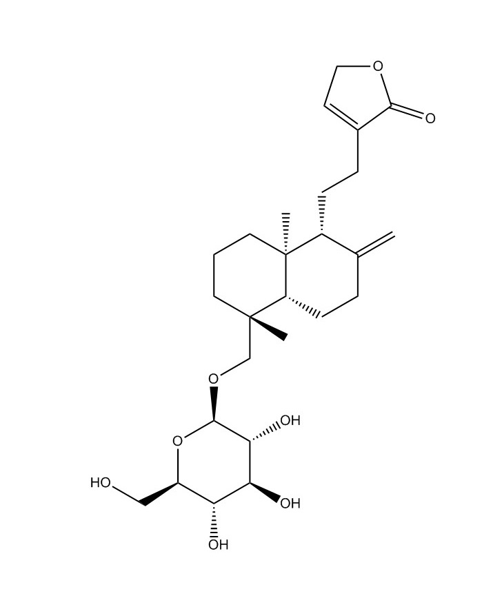 新穿心蓮內酯|27215-14-1