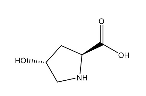 L-羥脯氨酸|51-35-4
