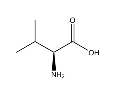 L-纈氨酸|72-18-4