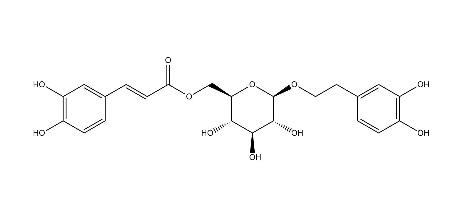 木通苯乙醇苷B|105471-98-5