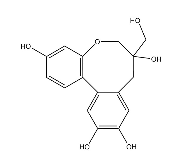 原蘇木素B|102036-29-3