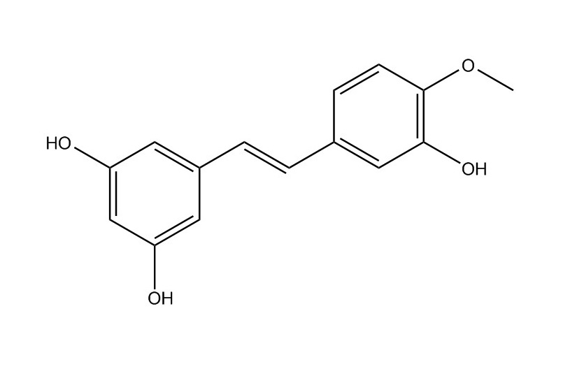 丹葉大黃素|500-65-2