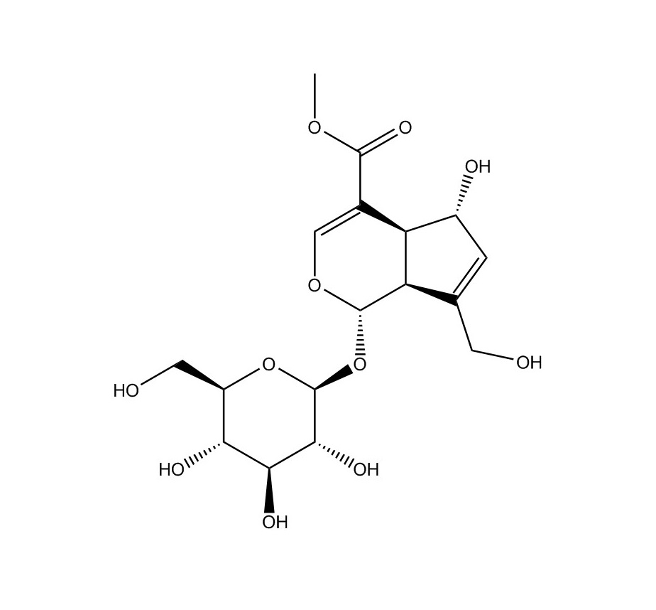 雞矢藤次苷甲酯|27530-67-2