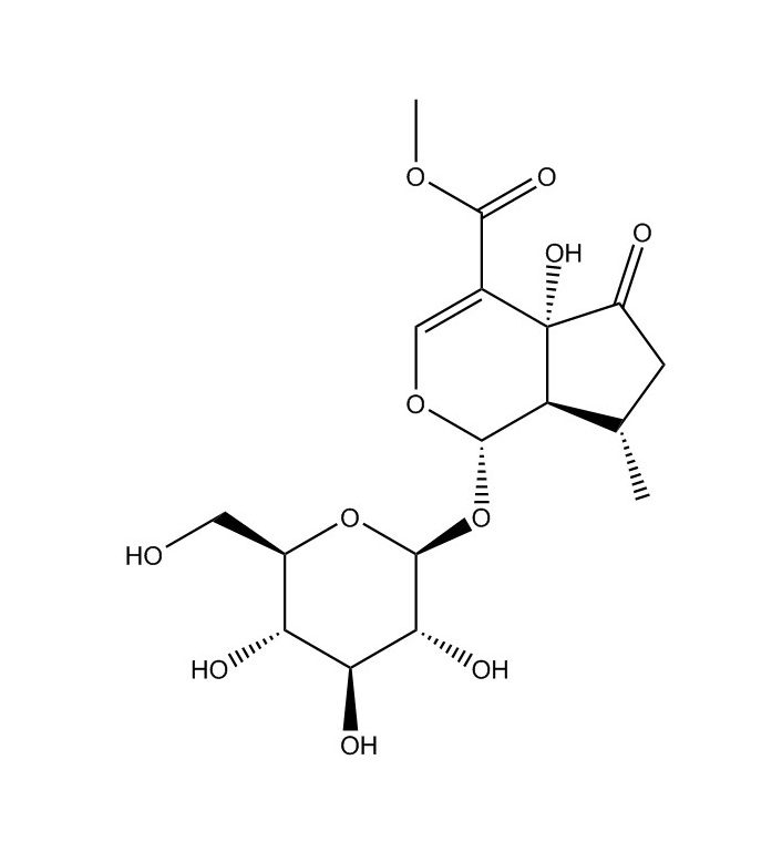 戟葉馬鞭草苷|50816-24-5