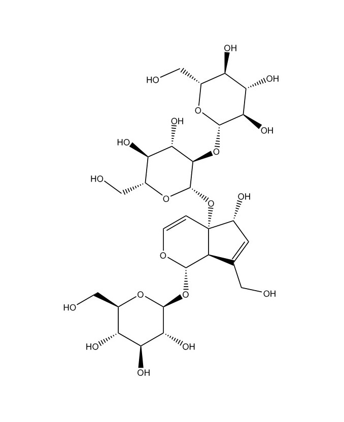 地黃苷D|81720-08-3