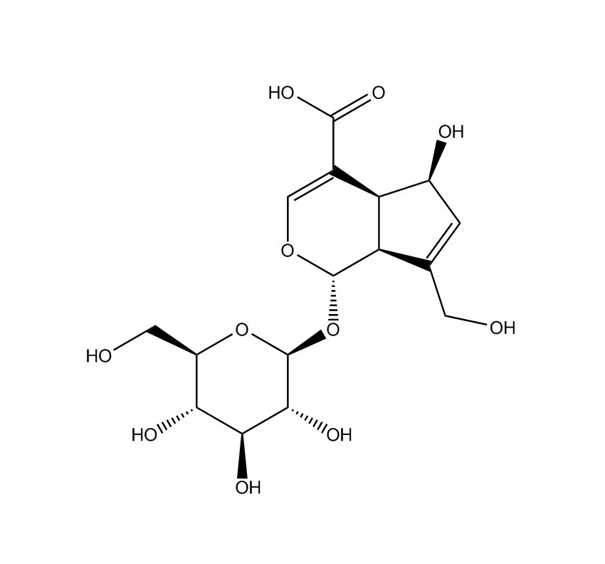 去乙酰基車葉草苷酸|14259-55-3