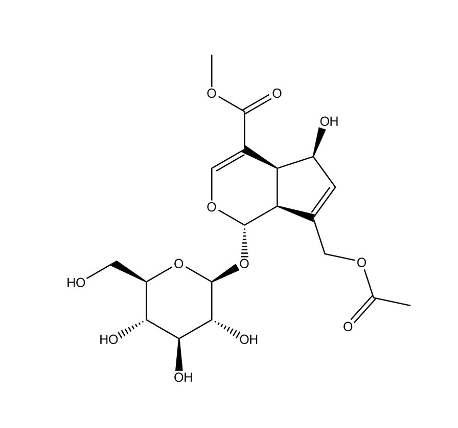車葉草苷酸甲酯|14260-99-2