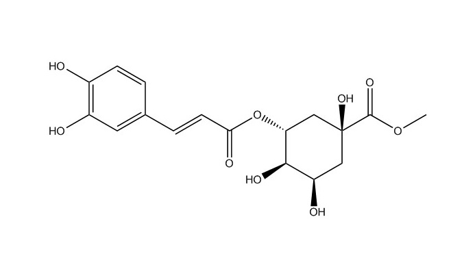 綠原酸甲酯|123483-19-2