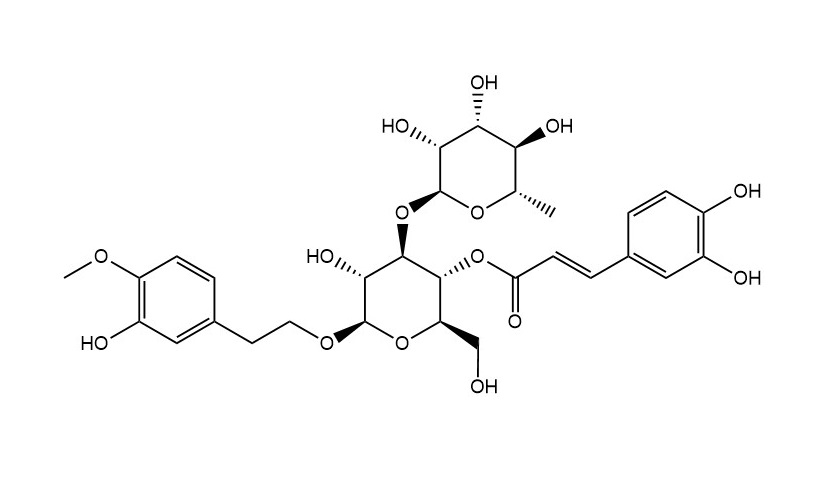 肉蓯蓉苷C|120406-34-0